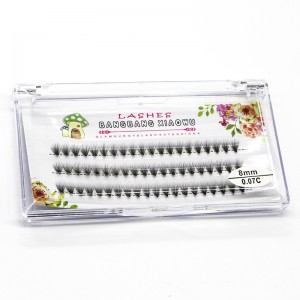 2D to 20 D Volume eyelashes cluster extensions
